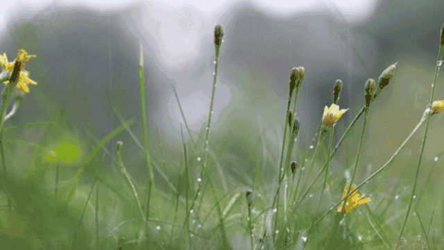 家居裝修秘籍——暴雨之后，墻面滲水怎么辦？